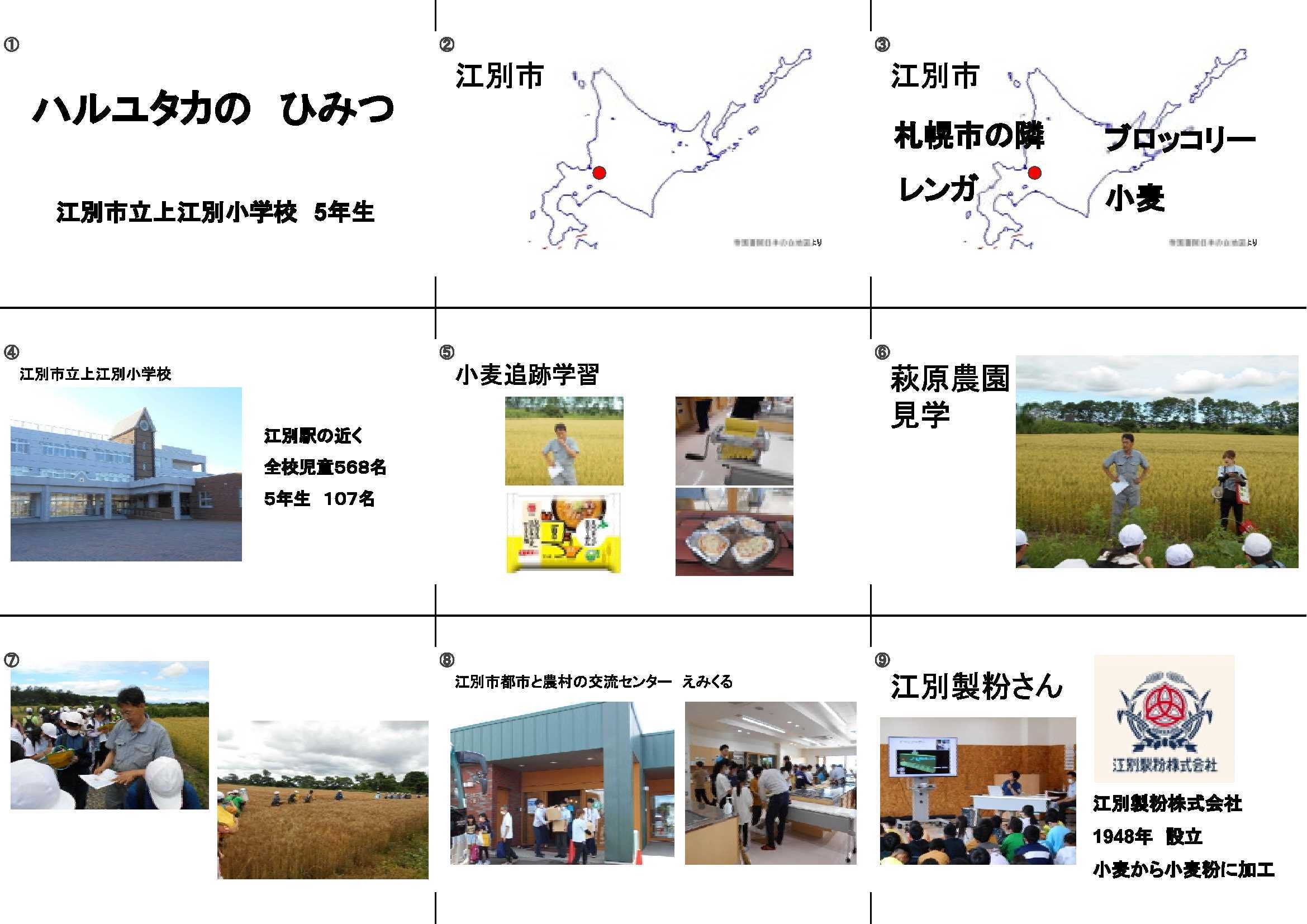 上江別小 分割1 (2).jpg