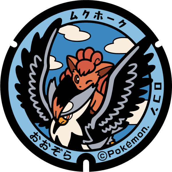 大空町ポケふた