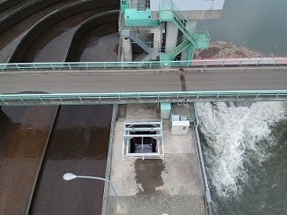 写真2
