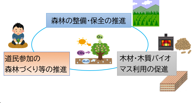 森林吸収源対策イメージ図
