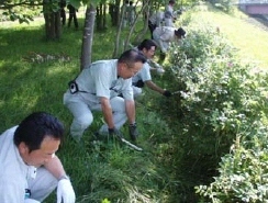 image_048mabuchi_bika.jpg
