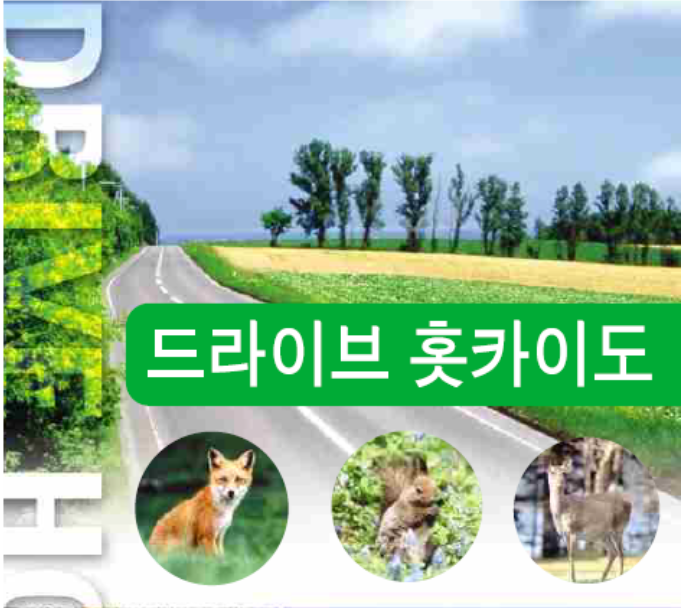 안내도(앞면)
