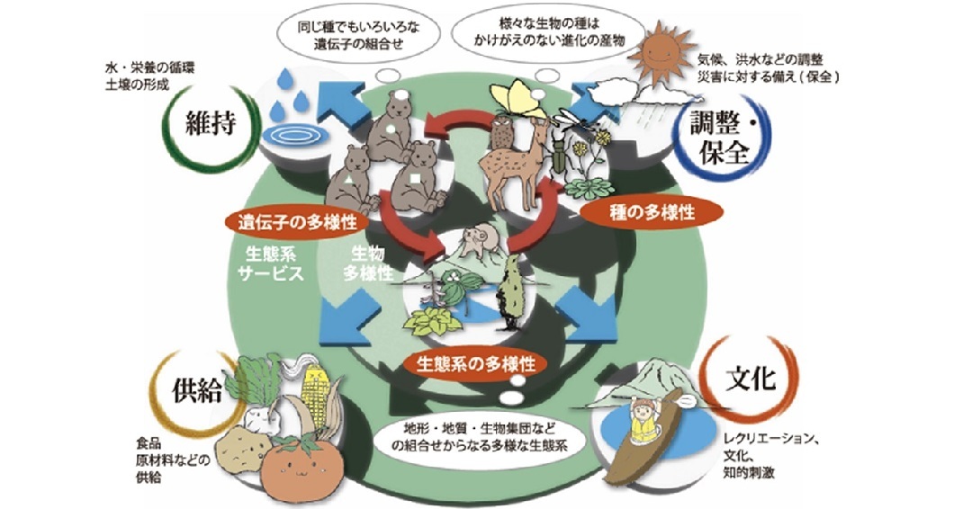 図 生物多様性イメージ (JPG 140KB)