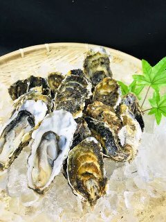 常呂漁協
