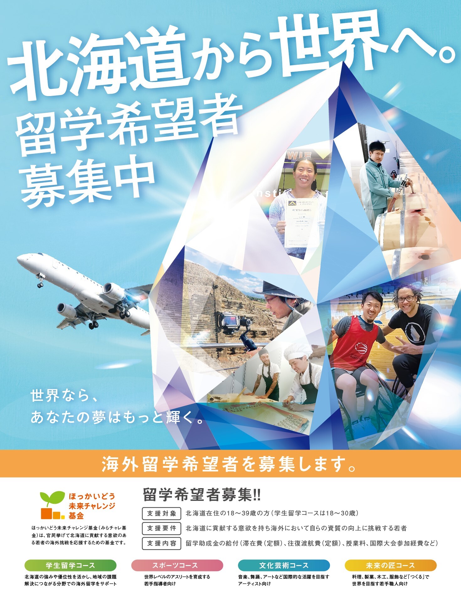 留学募集用ポスター