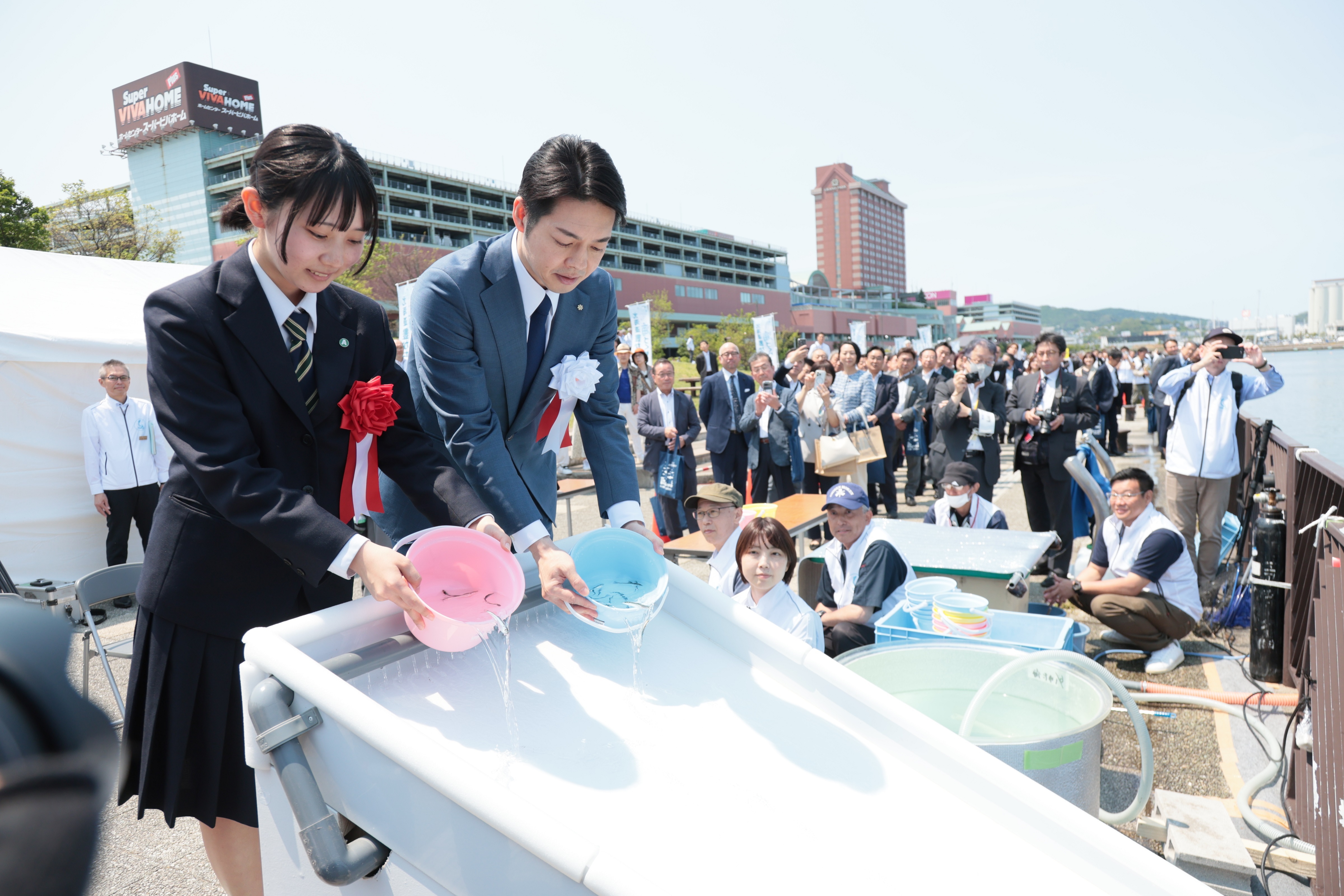 svip放流.JPG