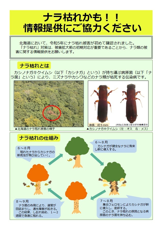poster1