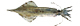 fis070s.jpg