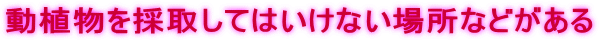 aka1.gif