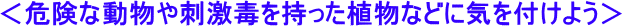 kikenn.gif