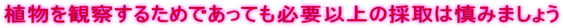 aka11.gif