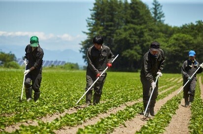 活動写真