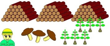 3．林産物の生産・販売、苗木の供給等