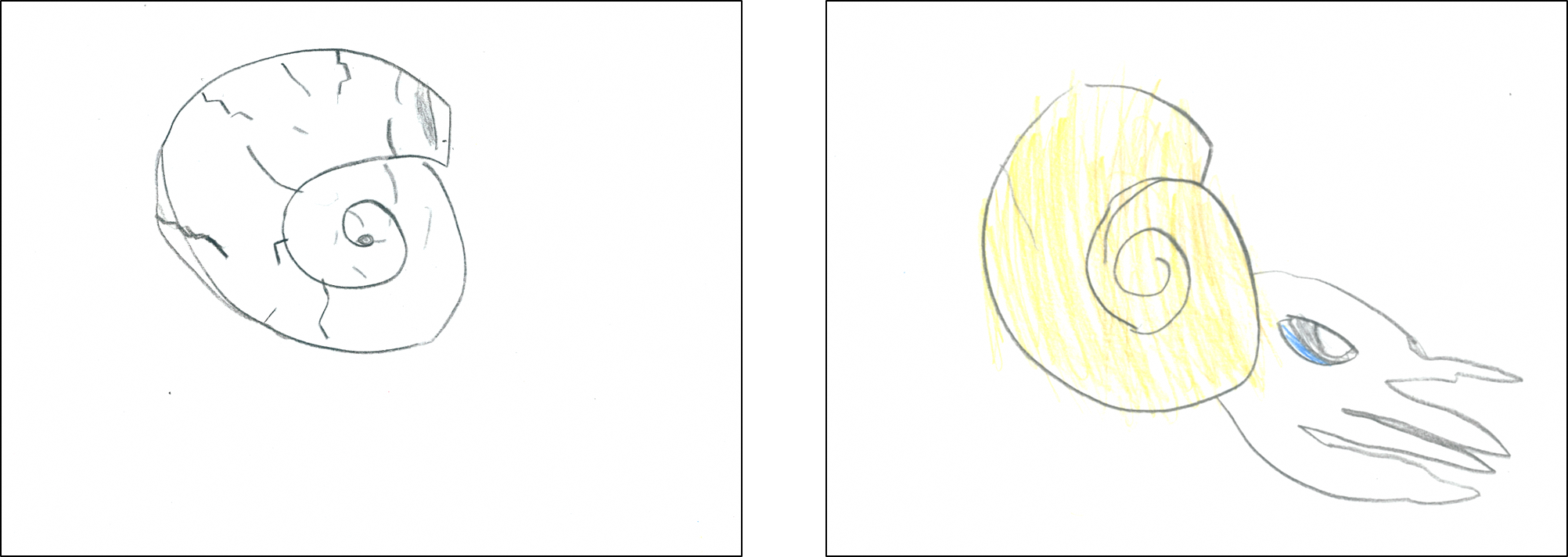 頭足類No.3 (PNG 739KB)