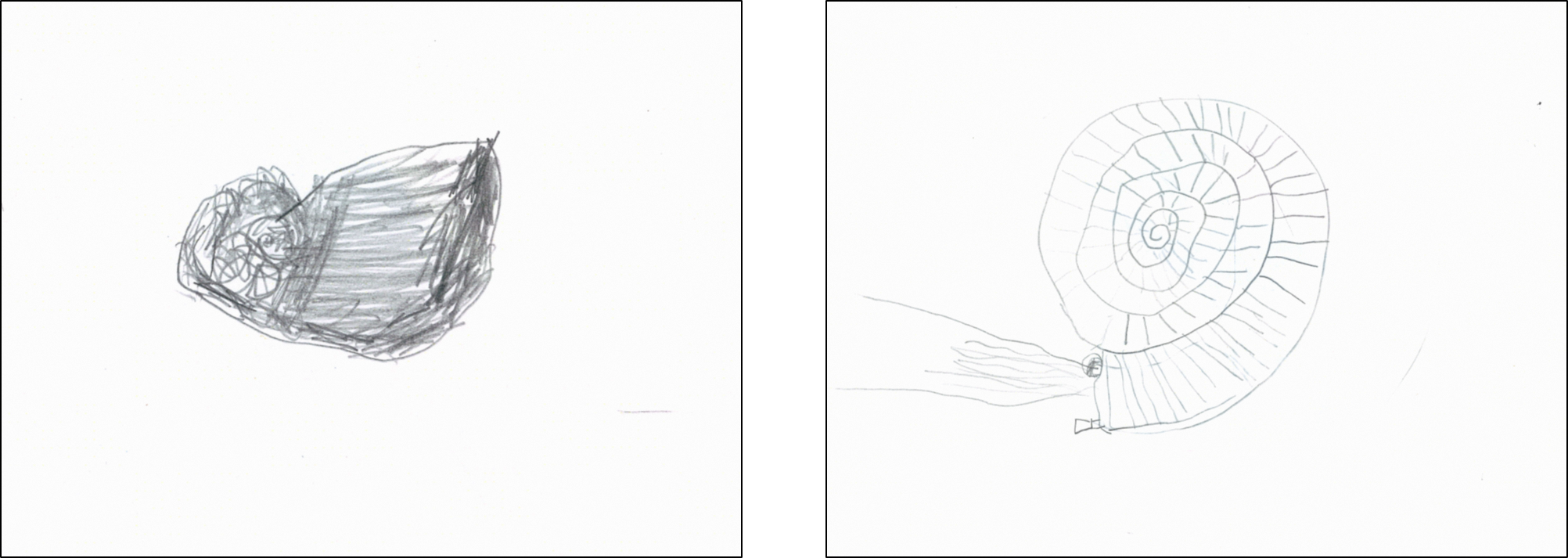 頭足類No.8 (PNG 1.06MB)