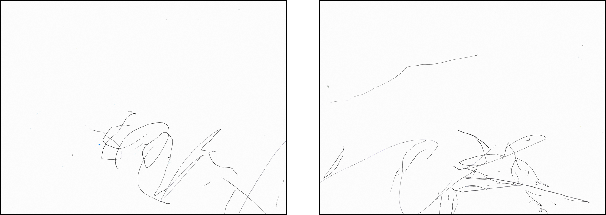 頭足類No.21 (PNG 732KB)