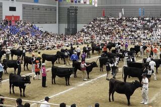 第11回全国和牛能力共進会（2017年開催／宮城県）