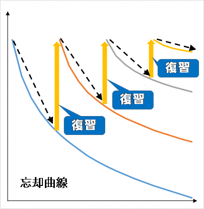 忘却曲線