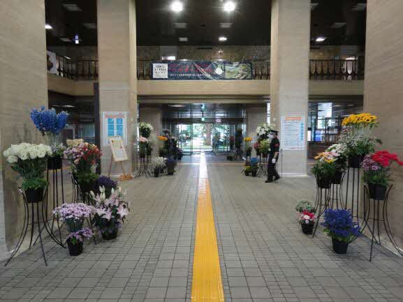 北海道庁1