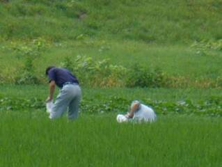 調査の様子その8