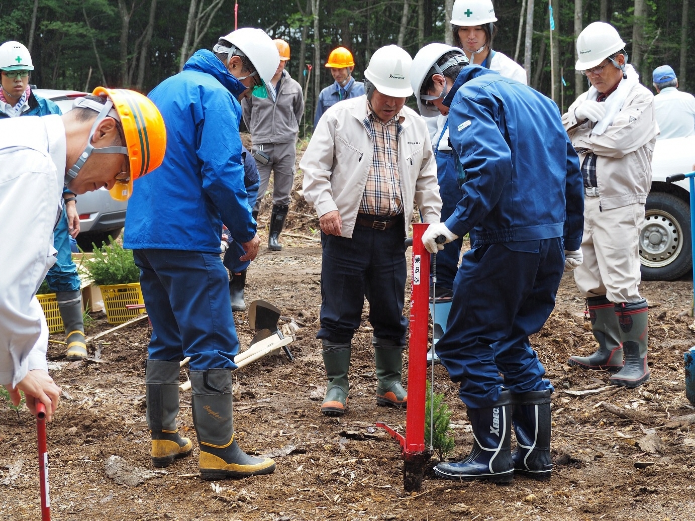 民国連携による現地検討の様子