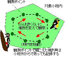 多様性の評価（野鳥）