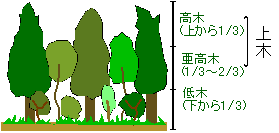 植物の調査