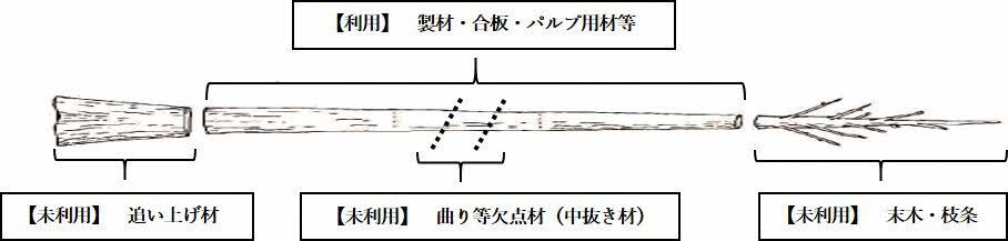 01未利用材図解.jpg