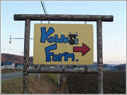 farm16.jpg