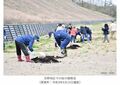 吉野地区での桜の植樹会