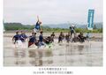 むかわ町穂別流送まつり