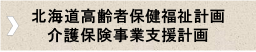 高齢、介護計画.png