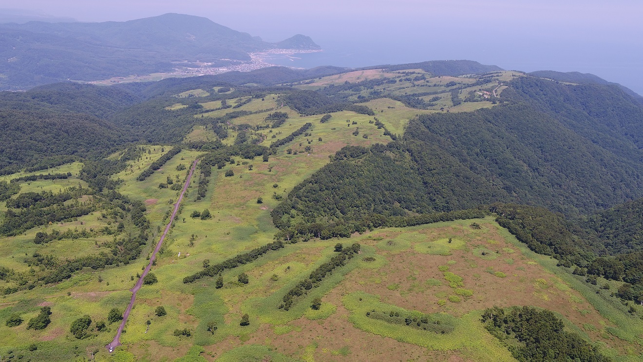 牧場(町道).JPG