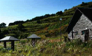 05_後志【積丹町】積丹岬キャンプ場.gif
