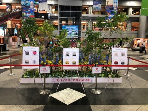 新千歳空港 新千歳空港