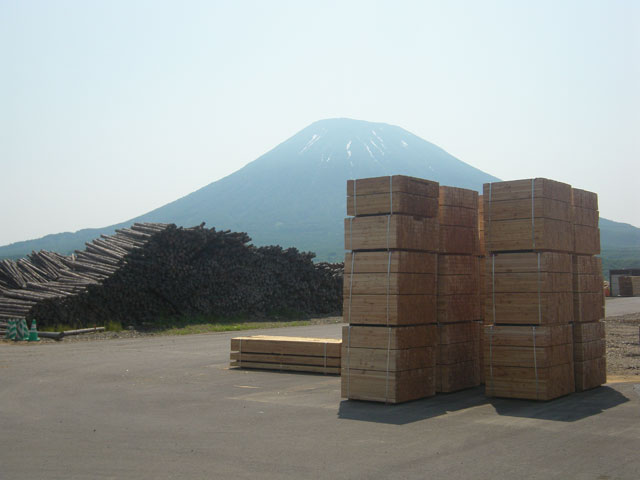 写真画像4